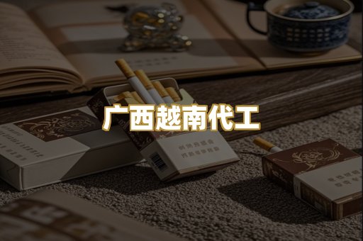 广西越南代工